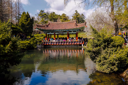 Item #801979788320540129322777538039369849814294169929945991077958215898371194881 Media