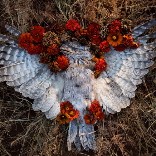 Burial Rites