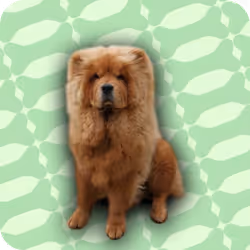 18069411133127541891764540209837632150727605560921678338142275888513441333249