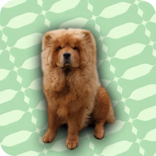 18069411133127541891764540209837632150727605560921678338142275888513441333249