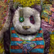 The  Pandas from the Fire Valley