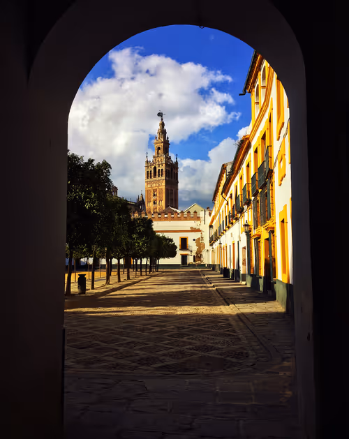 Item #51690675638909644790966826113213763437997288927381309606437552000088491950081 Media