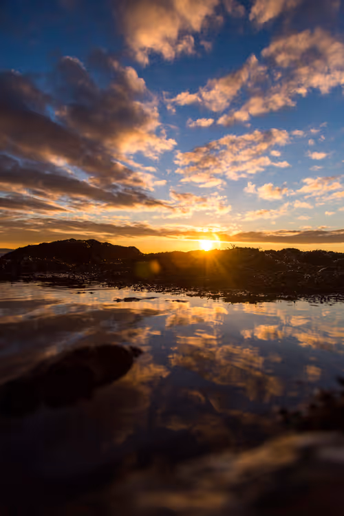 Item #111174009616639200000012101968861275422099781399944675221188828373491117981697 Media