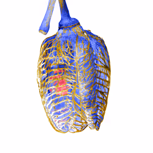 LangleyAnderson Collection