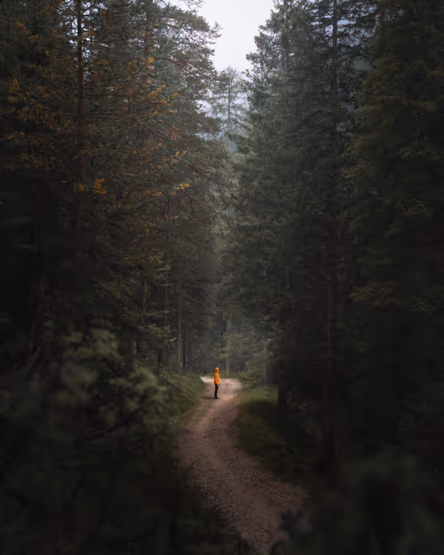 Item #59404681870809906448390957325299961742928436828892721220786848730836381990913 Media