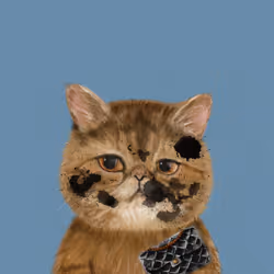 63588752515642770477067191287288803913526852218898202821012584814531712122881