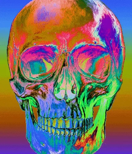 Memento Mori #470