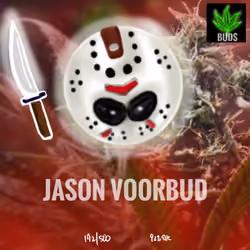 #192 JASON VOORBUD