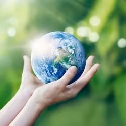 Protect The Earth