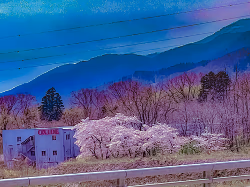 Item #26309083901545567454709889211670292098627789932924015051489478902000820158469 Media