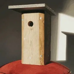 Birdhouse #14