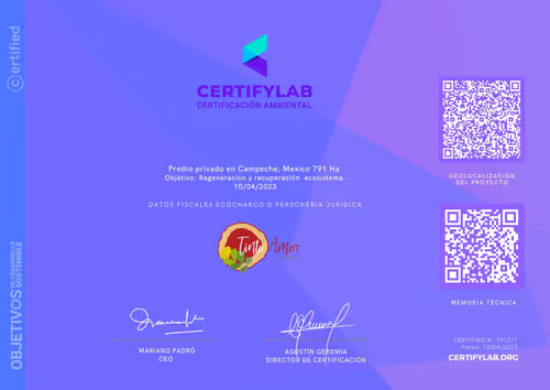 Item #82174489999726127748053989005133901530503286489307655945421605363655347535873 Media