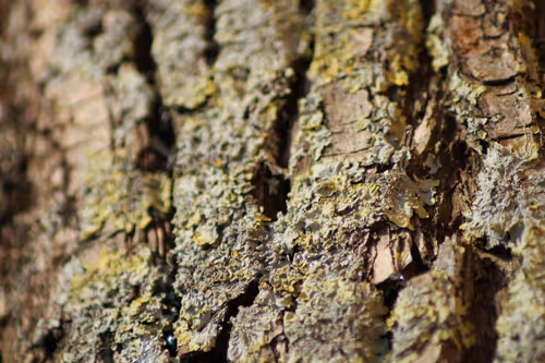 Item #51124555051901614330264480006545612592022390906904121289505624503035096989697 Media