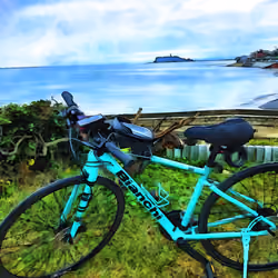 Bianchi@inamuragasaki_1