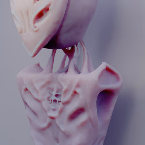 mazculo Collection