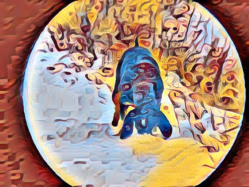 Item #68103433958729647441734292428991292973430553462390996571560802125210049314817 Media