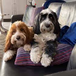 Rosie and Sammy