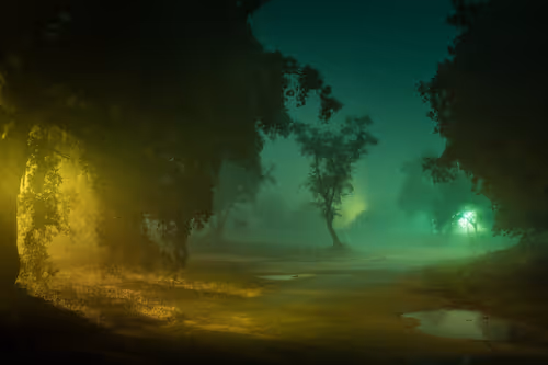 Item #21434562732768092237796646389615295837172194009472608172260032484925197254657 Media