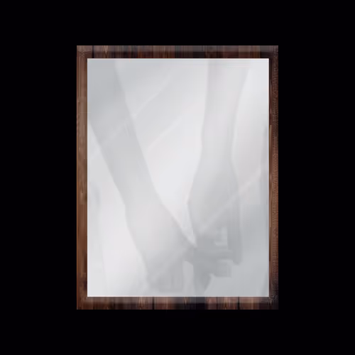 Mirrored  Reflections