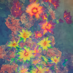 115354016198784602504913201642553345847924981366418556428971122918519048503297