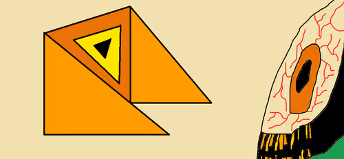 Item #55821112555373048994313304729541094956543670019884432065562932203948890652673 Media