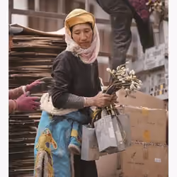 China bans mining