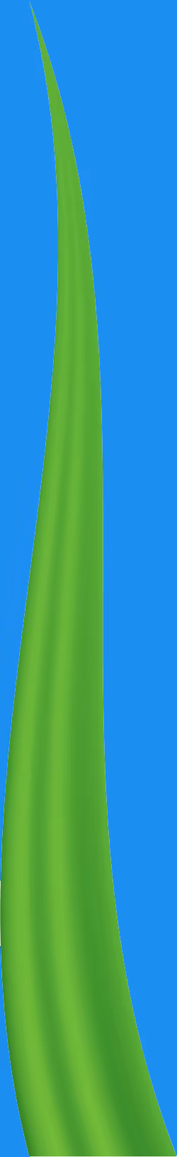 Item #78763235517899702300642317908544281341520076745003203023483945990609682038785 Media