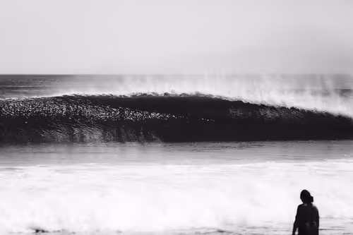 Item #33133418116115063529352542376683175373255544775551034598216737139766295789569 Media