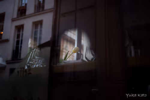 Item #111326101478107214990251795731047965840392207690526379209547236997180319334401 Media