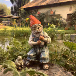 Der Gartenzwerg am Gartenteich 