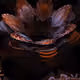 3892110683213890417041970938140401792862596375071656835897990804015580971009