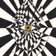 80082764064093918864450936095492517166793029762492241649361365445025994899481