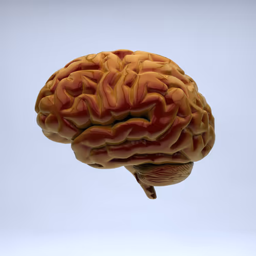 Item #77412820926303725204956055566925211190020908428863033075197849148952282136577 Media