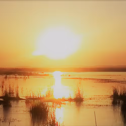 Atlas_Shrugged Collection