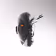 7612748560331516181026976915275570826131891196591222763987577974328383242241