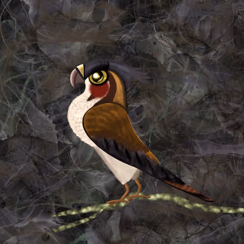 Item #88512563936544511640379150261301015065619949825470528122971693669996411486209 Media