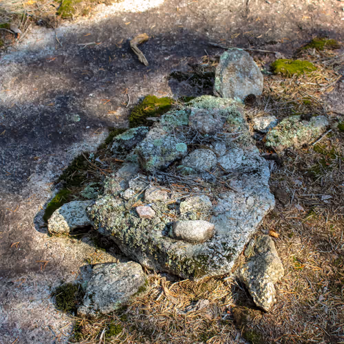 ᒥᐦᑭᓈᕁ mihkinâhk turtle