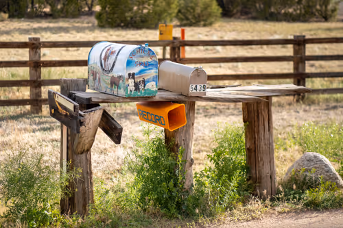 Item #11955258405877940387727996623970778054324604048240076775450463792445035380737 Media