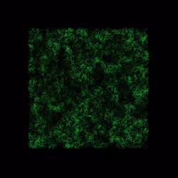 12032733712256437664215437925069129638151898554142308319368358923536705781761