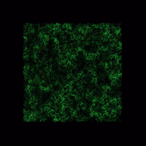 Item #12032733712256437664215437925069129638151898554142308319368358923536705781761 Media