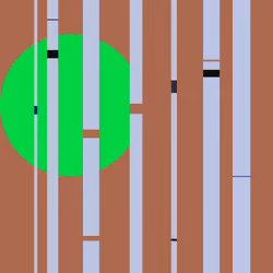Bamboo Moon 0063