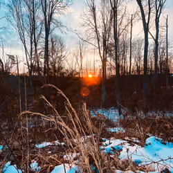 Snowy Warmth