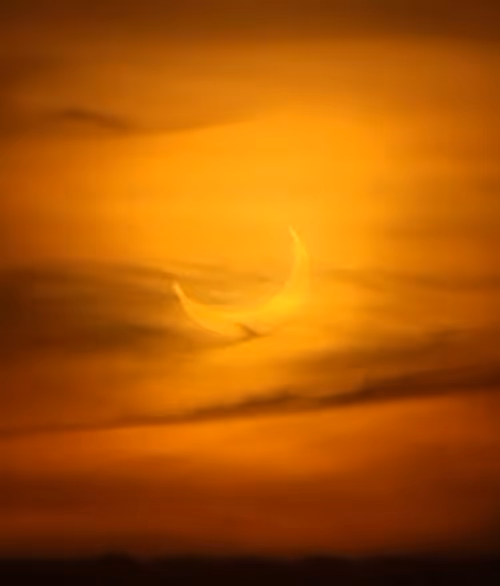 Item #4583203688154496710464576617550160289260541301864270714739251198853822545921 Media