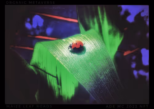 Item #3787080761074609709675817509753112159059746763483256848434353618269547528197 Media