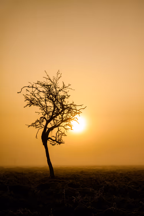 Item #7541061549894864195156407878226049609919453325507496884230064730750064787457 Media