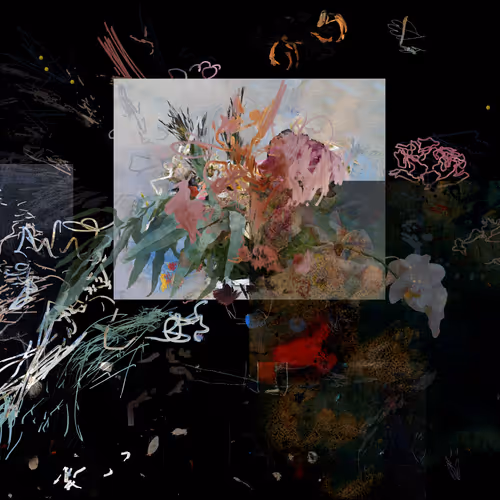Petra Cortright 999flower