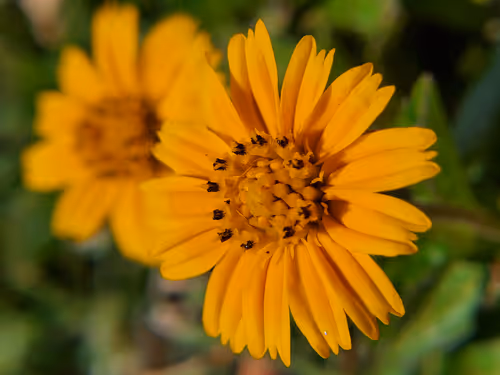 Item #76397996322871269923663397767549197527833354347581050584079304993112762351617 Media