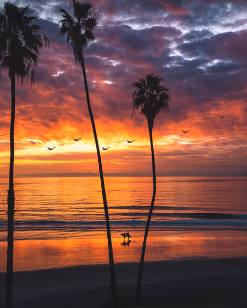 Item #85839433850987451351373420882988387136315355777257615017203975736140148768769 Media