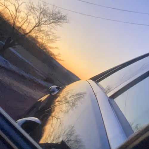 _MasterCatalog1 Collection