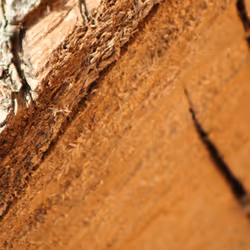 51124555051901614330264480006545612592022390906904121289505624498637050478593